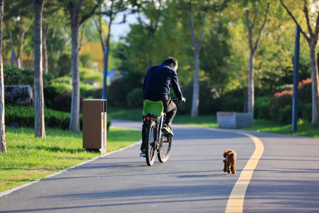 重返20°C+，洛阳极品好天气！速速出门！