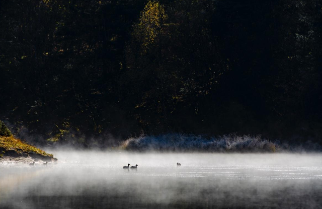 香格里拉国家公园候选区：冬韵如诗，静谧灵动