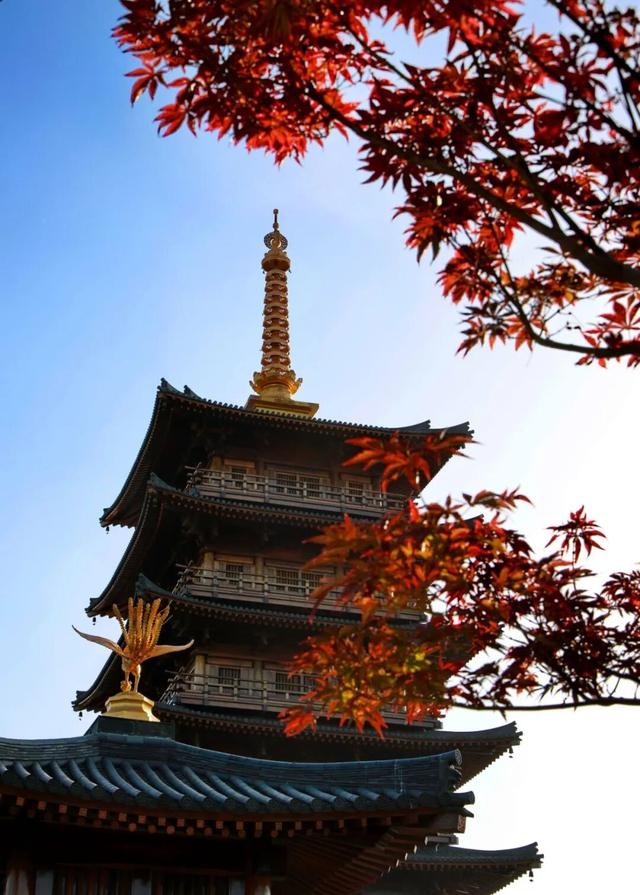 宝山隐藏打卡清单！“旅”选上海，“超”级精彩！这里出片率100%！