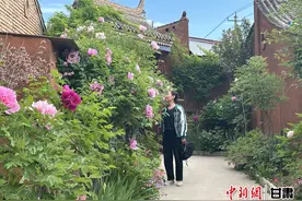 定西临洮牡丹产业链初具规模 年产值达6000余万元图片