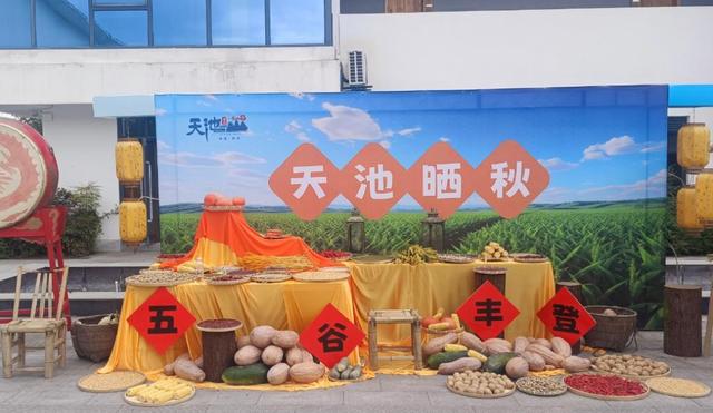 “侠义襄阳”双节焕新颜，点亮“有文化、有温度、有侠义”之城