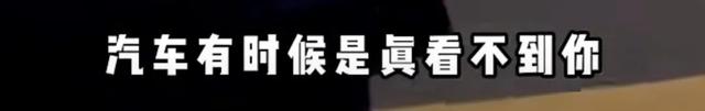 男子闯红灯被撞后怒吼被交警教育