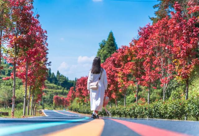 来赣州，赏景、观枫，写首秋日的诗......