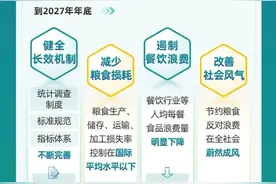 一图读懂丨关于粮食节约和反食品浪费，中办、国办印发行动方案图片