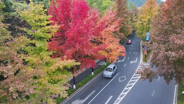 余杭初冬藏不住！这些秘境绝美~