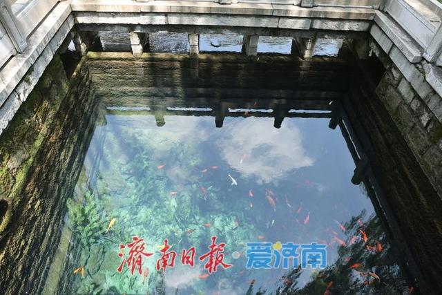 一年四季 泉在济南丨玛瑙泉瀑布水帘重现 古城河畔添灵动景致