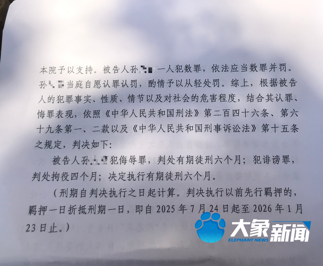大衣哥反击网暴：送恶人入狱，更留下可复制的维权指南丨中听