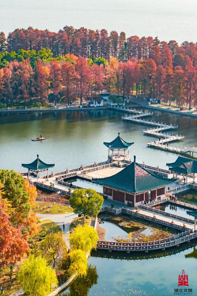 出片率100%！湖北的秋天太卷了