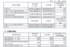 三大运营商2024年半年报全部出炉，业绩稳健增长彰显行业活力图片