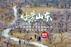 3月24日最佳情报|滨州吊车与轿车相撞，情报员直击获奖图片