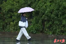 疾风冷雨，加衣服啦！明起短暂放晴图片