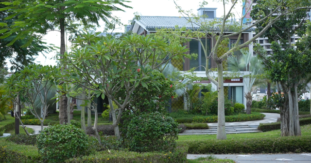 逛到不想走！被这条街“拿捏”了丨在云南样样好