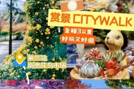 好玩又好逛！这条Citywalk线路已上线→图片