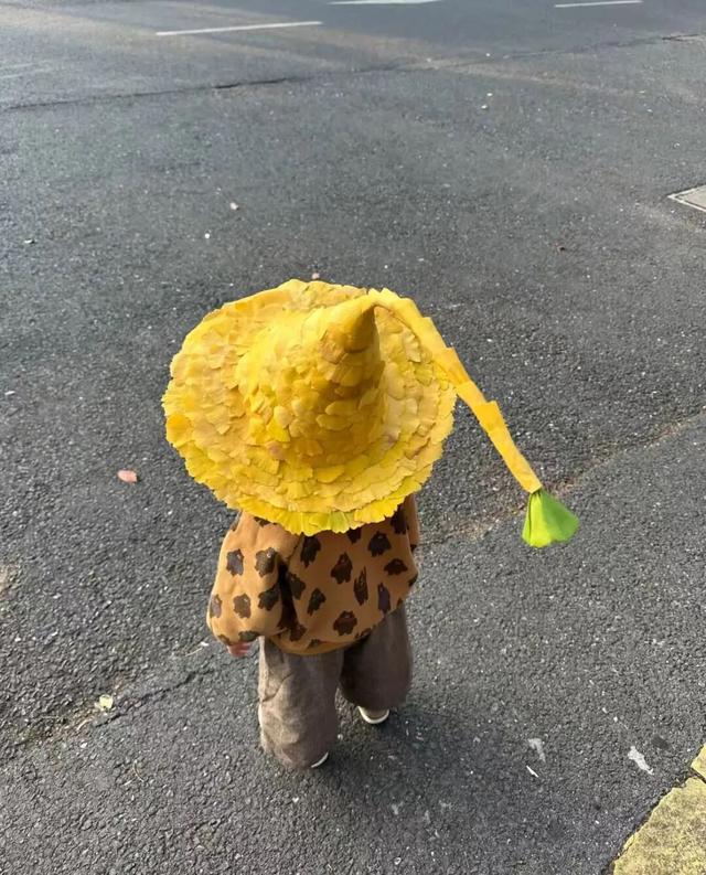 “银杏伞”火出圈！网友：不建议推广，因为我没有