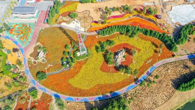金秋重逢乐威海丨沐风追光·山海自驾之旅