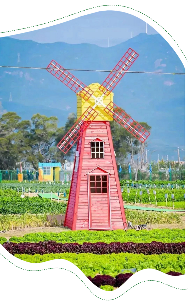 平时不出门，但如果是翔安的果蔬熟了，那我得跑着去！