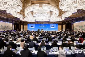2024海峡两岸卫生健康合作交流会在西安召开图片