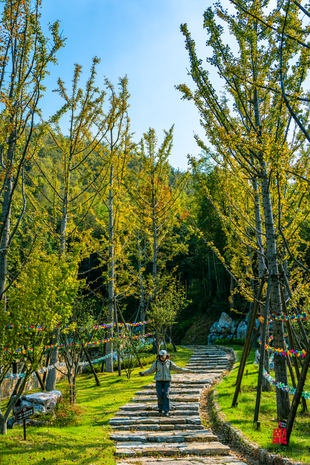 想追风，去团风！