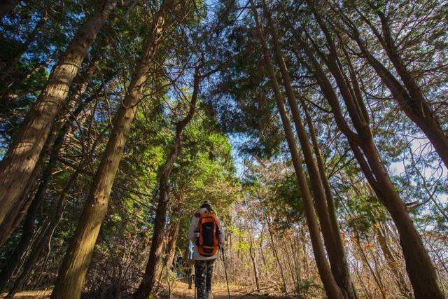 Hi走奉化③ | 拿下最高峰！蜘蛛岭古道虽累，但这秋色值了！
