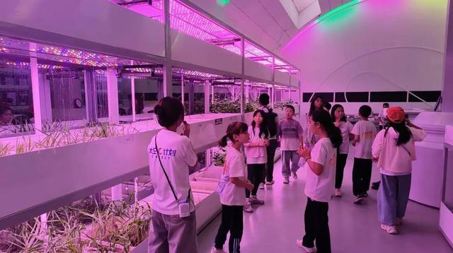 在金昌，这场青少年生存训练营藏着太多惊喜！
