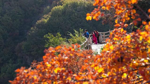 周末出发！河南最美彩色地图上线