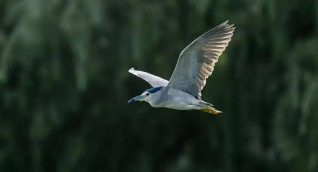 无锡最新追“星”指南，速收藏！