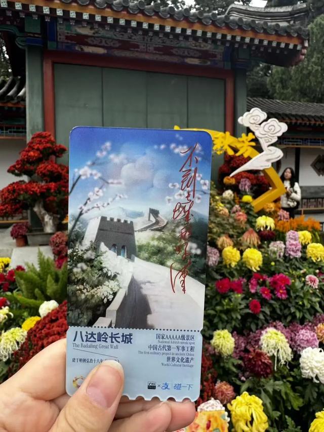 赏红“顶流”又红了！香山公园赏秋全攻略