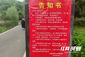 南县住建局：加强公园流浪狗治理 守护人民群众人身安全图片