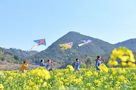 春日限定浪漫已送达图片