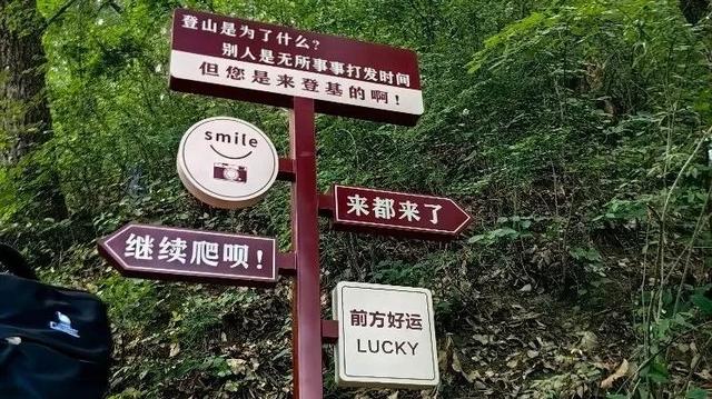 景区“损人式加油”爆火！专治各种爬不动？