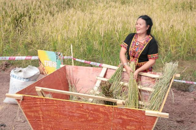 2025年白沙“啦奥门”雨林与您山兰文化活动启幕