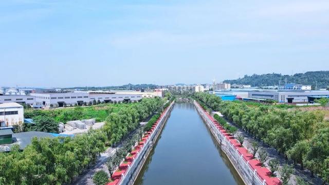 “生”动成都，跟着文学去打卡丨美丽成都，跑起来更有“赶脚”！