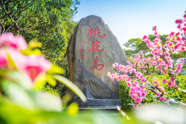 “浙BA”门票，免费送！
