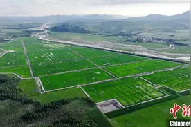 （乡村行·看振兴）内蒙古林西：西拉沐沦河畔，治水兴水促振兴图片