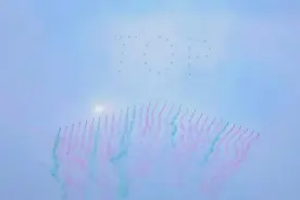 “春之交响” 草地音乐会在TOP 中央公园举行，奏响艺术与自然的华美乐章图片