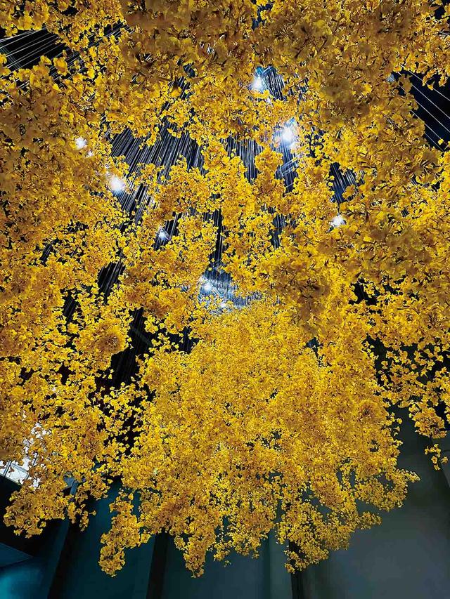 最新资讯-这届上海双年展，是给感官和心灵的“光合感化”(3)