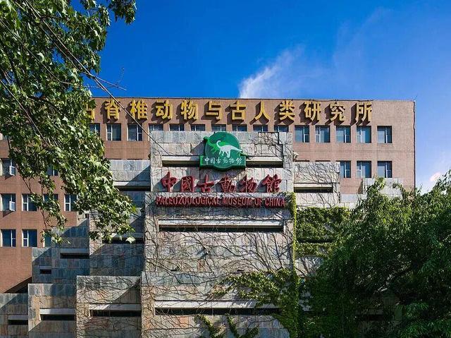 国家级旅游精品目的地！展览路“体育+”加出国家级新名片
