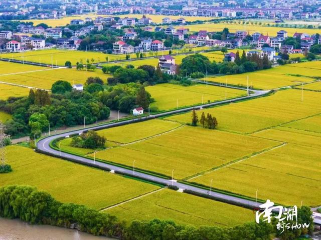 南湖村show｜水韵乌桥