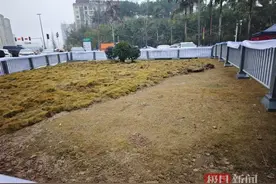 小孩放鞭炮引爆沼气致8车受损后续：坑洞已填平，受损车主称生活还得继续图片
