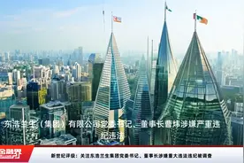新世纪评级：关注东浩兰生集团党委书记、董事长涉嫌重大违法违纪被调查视频封面
