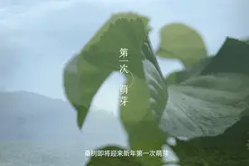 100%春茧桑蚕丝被，1年仅1季，浪漫烟霞印花，升级防钻丝图片