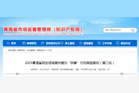 2025青海省民生领域案件查办“铁拳”行动典型案例（第二批）图片