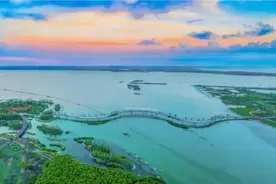 春日骑行攻略！6条绝美沪郊路线，解锁魔都限定浪漫图片