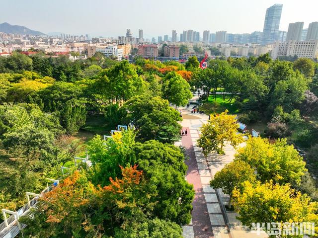 金秋斑斓 公园如画