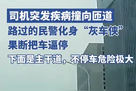 武汉“鄂A6PZ19”车主逼停失控汽车，“灰车侠”的身份明确了！图片