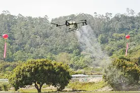 厦门出台扶持粮食生产若干措施实施细则 叠加补助种粮大户图片