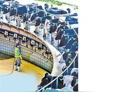 推动畜牧业走出低迷由大向强图片