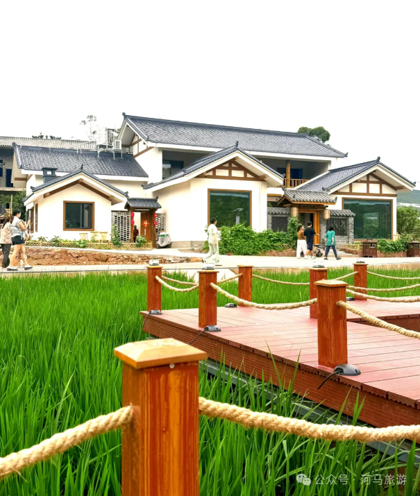【五彩凉山•夏季清凉】陌上姜州： 把脚印印在稻浪翻滚的地方