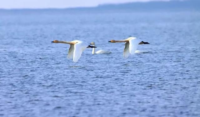 溧水赏秋指南，这周末就出发！