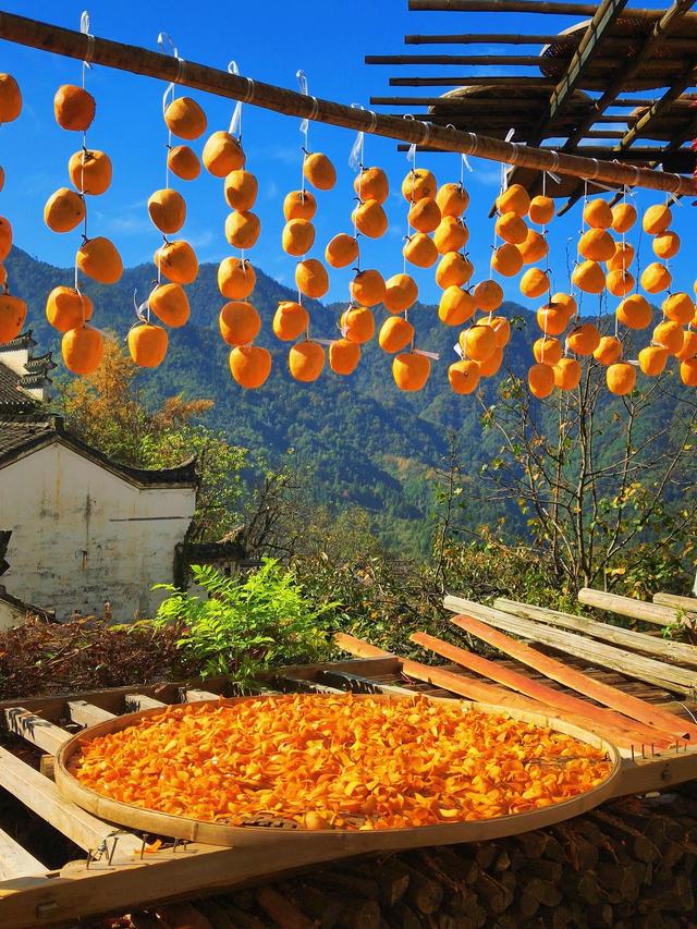 晚潮｜且道惊鸿婺源行